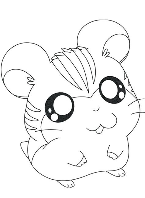 Baby Hamster Coloring Pages At Getdrawings Free Download