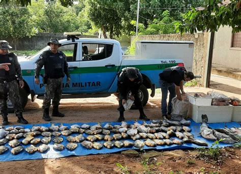 Opera O Ho Apreens O De Kg De Pescados Irregulares Em Aquidauana