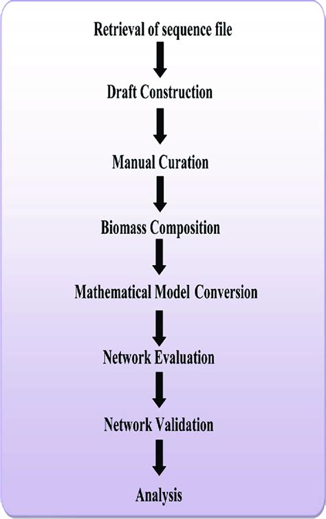 A Flow Diagram Of Genome Scale Metabolic Model Reconstruction