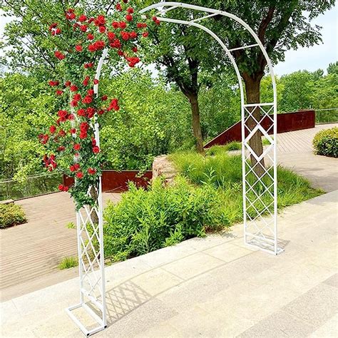 Arco Per Giardino Supporto Per Piante Rampicanti Rose Facile Montaggio