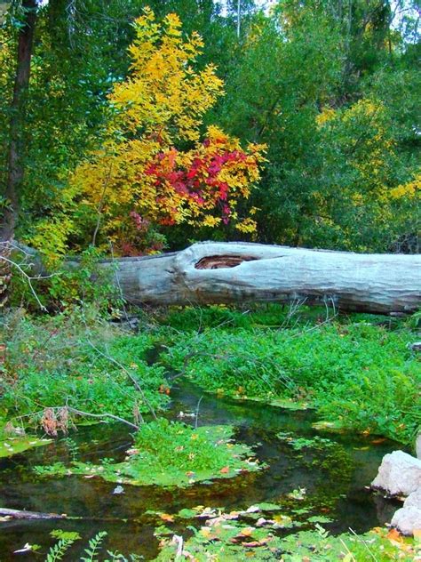 Chadron State Park - PANHANDLE TRAILS