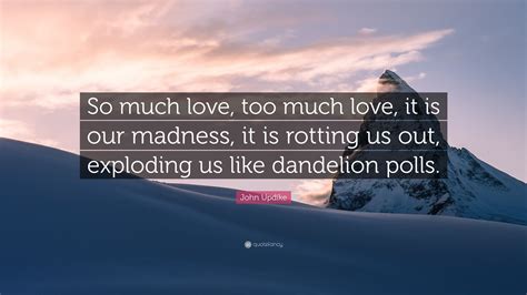 John Updike Quote “so Much Love Too Much Love It Is Our Madness It Is Rotting Us Out