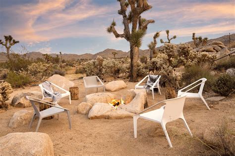 Top Things To Do In Joshua Tree Year Round Updated November