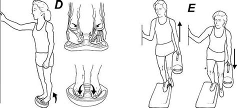 Five Simple Exercises to Prevent Age-Related Muscle Loss (Sarcopenia ...