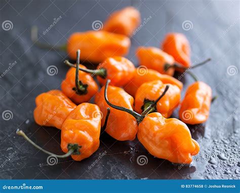 Pile Of Spicy Habanero Peppers Stock Photo Image Of Spicy Peppers