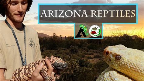 arizona snakes in winter Reptiles of Arizona - Phoenix Herpetological Society - gentetip