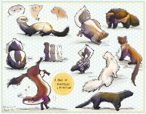 Mustelids+Mephitidae by ToySkunk on DeviantArt