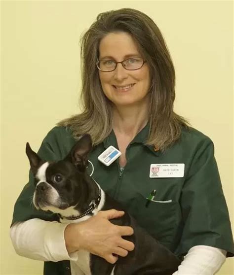 Cat And Dog Veterinarians Middleport Ny Animal Hospital