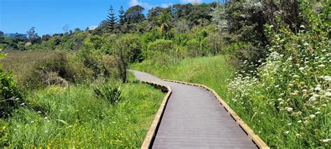 biform decking  zealand tuff crater walkway