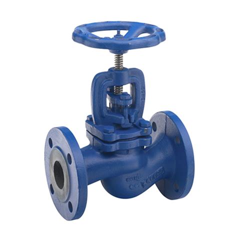 Cast Iron Globe Valve Sdnr Flanged Pn Valves Online