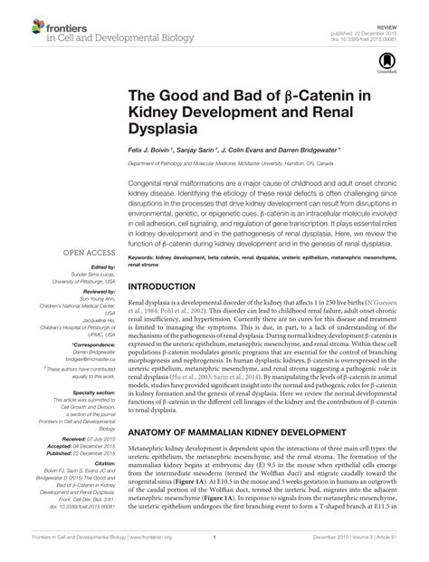 Pdf The Good And Bad Of β Catenin In Kidney Development And Renal