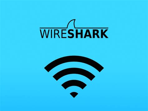 40 Wireshark icon images at Vectorified.com