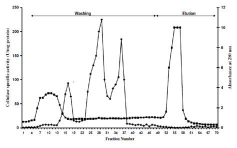 Chromatographic Profile Of Cellulose Using Sepharose CL 6B Immobilized