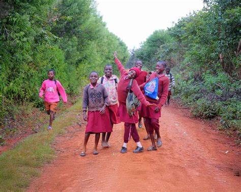 Economic Openness: Zimbabwe Case Study - Prosperity Institute