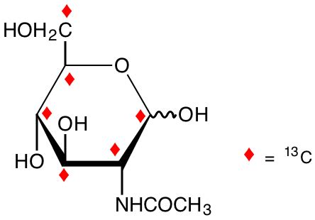 N Acetyl D Ul C Glucosamine Carbon Isotope Omicron