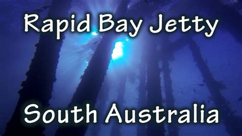 Freediving Rapid Bay Jetty South Australia Youtube