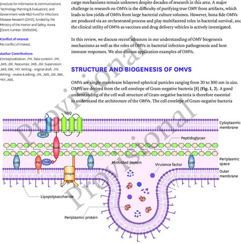 This Figure Depicts Cell Wall Envelope Of The Gram Negative Bacteria