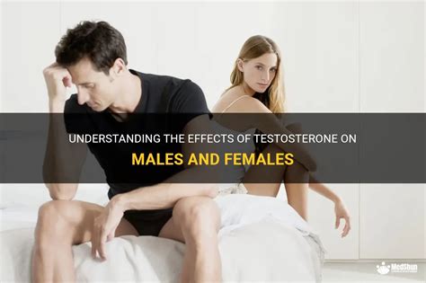 Understanding The Effects Of Testosterone On Males And Females Medshun