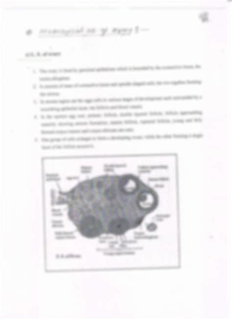 Solution Histology Of Testis Ovary Studypool