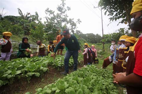 Melihat Edukasi Wisata Kebun Pak Agus Mencapai Pendapatan Puluhan Juta