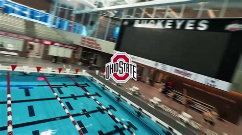 Ohio State Swimdive Ohiostswimdive Twitter