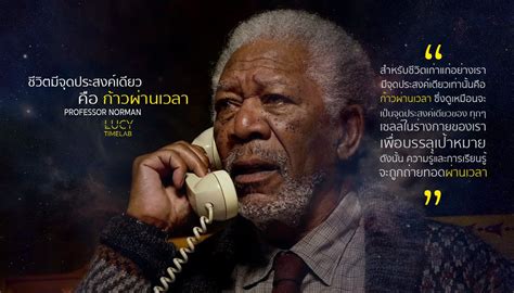 lucy thai news collections