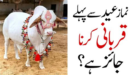 Namaz E Eid Se Pehle Qurbani Karna Kaisa Hai Qurbani Ke Masail