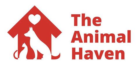 Donate To Animal Haven Kuranda Shelterbeds