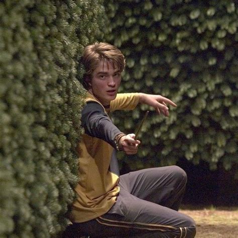 Pin By Kyma On Hufflepuff In Cedric Diggory Robert Pattinson