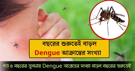 গত ৫ বছরের তুলনায় Dengue আক্রান্তের সংখ্যা বাড়ল বছরের শুরুতেই Progotir Bangla