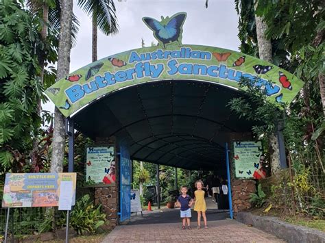 Australian Butterfly Sanctuary Kuranda, Tropical Queensland - Mum's Little Explorers