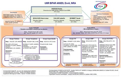 Organigramme Lrue