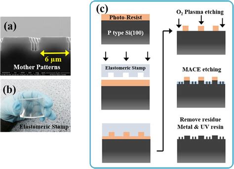 Sem Image Of Mother Pattern For Pdms Stamp Fabrication A Fabricated