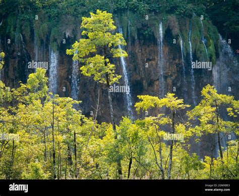 Plitvice, Croatia - 3 September 2016; A UNESCO World Heritage Site ...