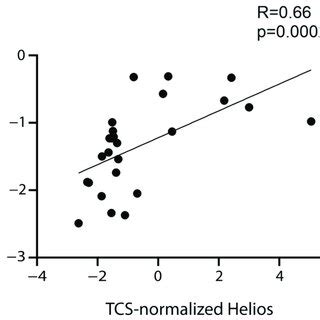 Correlation Between Ki 67 And Treg CD8 Exhaustion Markers The Rho