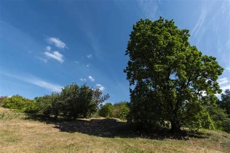 Темно синє небо картинки стокові Темно синє небо фотографії зображення Скачати з