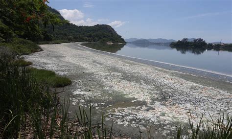 Lagoa De Piratininga Agoniza Em Meio Ao Esgoto Que Vem Provocando