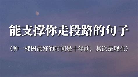 “世上只有一种英雄主义，那就是看清生活的真相后，依然热爱生活”‖能支撑你走 哔哩哔哩