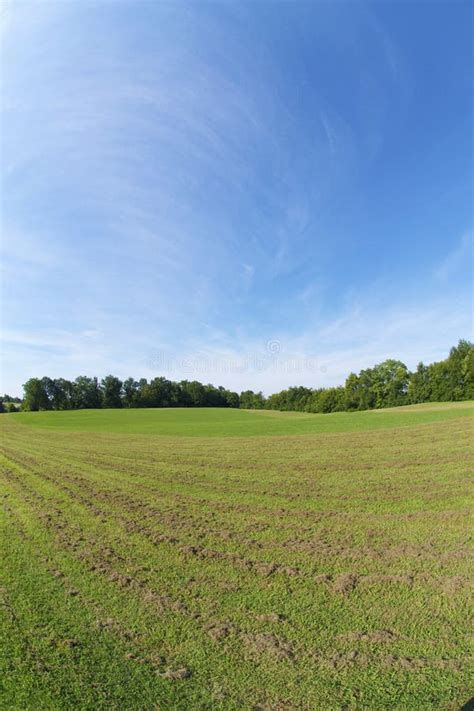 Beautiful Open Grassy Field Stock Image Image Of Land Inhale 21939611