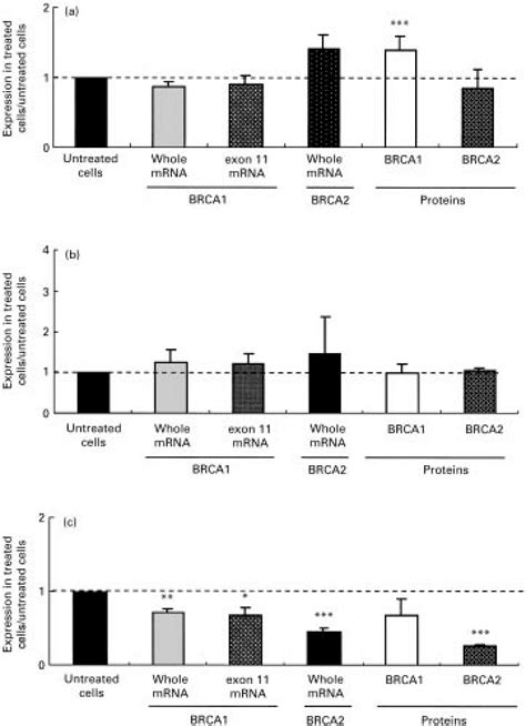 Expression Of Brca And Brca Mrna And Protein Expressions In A