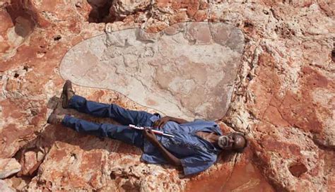 Newly Discovered Human Sized Dinosaur Footprint Is The Largest Ever