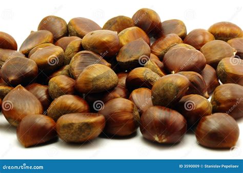 Fundo Das Castanhas Imagem De Stock Imagem De Pilha Isolado