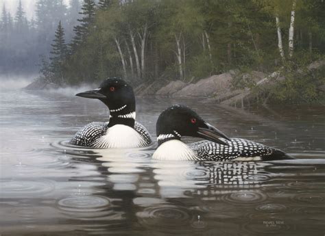 Summer-Common Loons | Wildlife art, Common loon, Beautiful birds