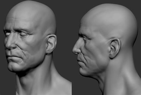 ArtStation Male Head Sketch Adam Beardall Male Head Head Anatomy