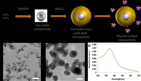 A Scheme Of Glucose Coated Fe3o4au Nanoparticle Iron Oxide Core