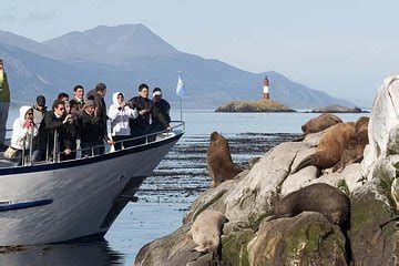 Beagle Channel And Sea Wolves Island Boat Tour 2024 Ushuaia