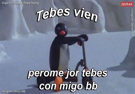 Memes Del Ping Ino Noot Noot Detodo De Todo Amreading Books