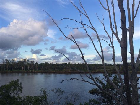 Free Images Landscape Sea Tree Water Nature Marsh Cloud Sky