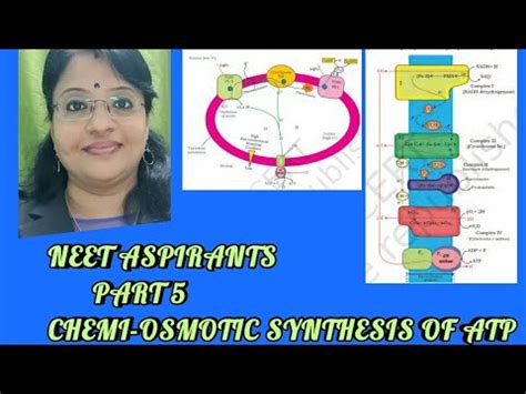 Neet Aspirants Part Viaggio With Sree Chemiosmotic Synthesis Of