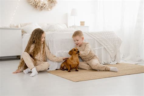 Two Children Playing with a Dog · Free Stock Photo